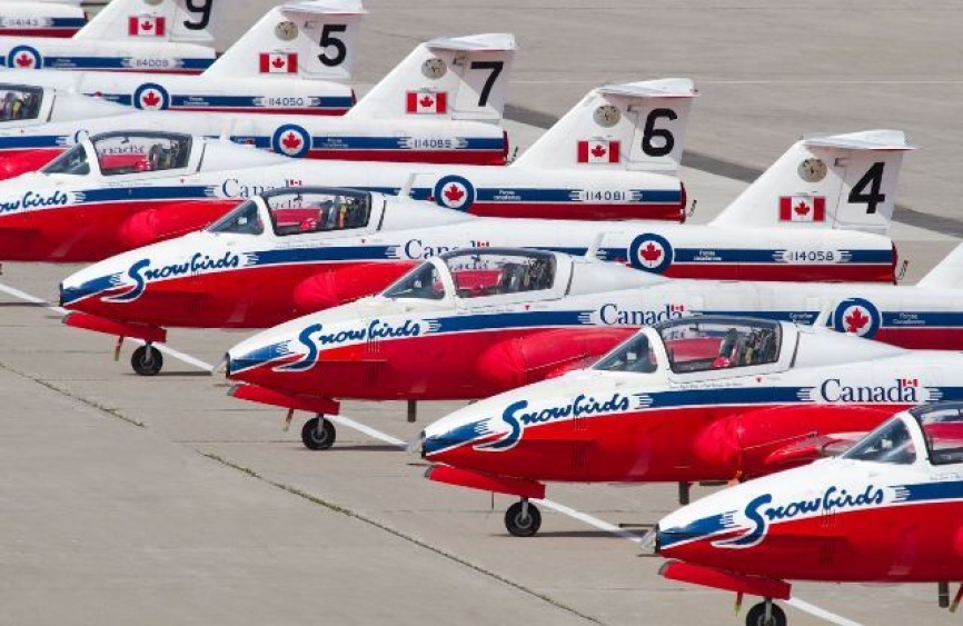 Snowbirds (CANADÁ)