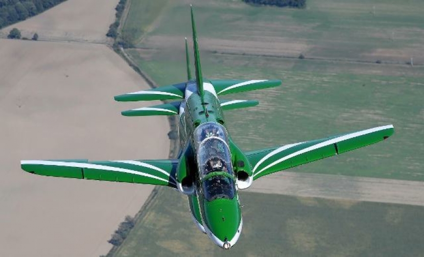 Saudi hawks (Arabia Saudí)