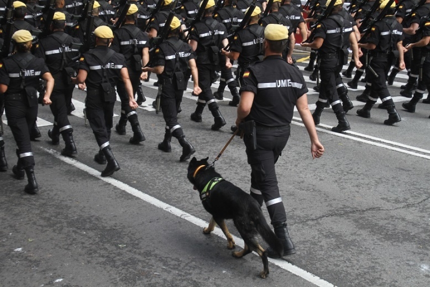 12. Además del carnero de la Legión, los caballos, pudimos ver este perro del Cuarto Batallón de Intervención en Emergencias (BIEM IV).