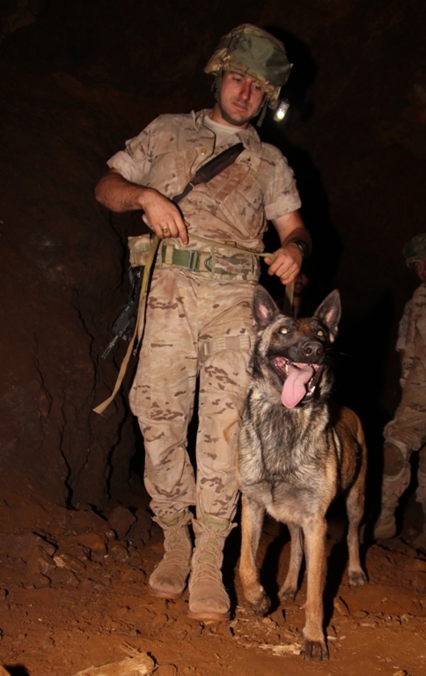 Los perros adiestrados pueden ser muy útiles para llevar a cabo ciertas misiones bajo tierra