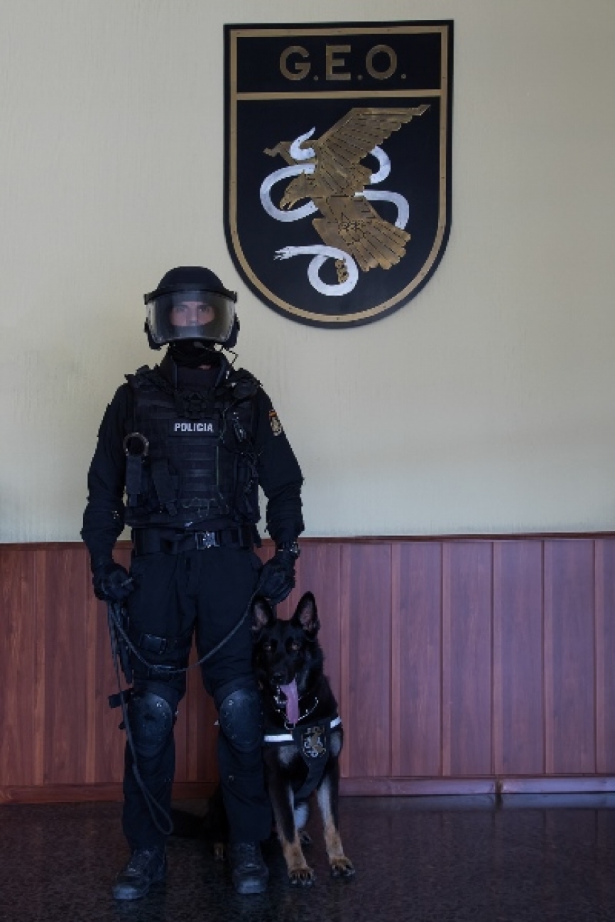 Aquí podemos ver en detalle a un agente K9 junto a su guía, pertrechado con el casco y pantalla antibalas.
