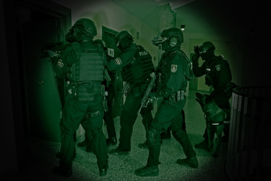 Esta unidad también cuenta con una importante variedad tanto en armamento como en equipación, eligiendo en cada situación los más adecuados para la misión a desempeñar.