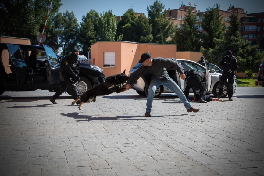 Los agentes caninos, muy presentes en el grupo, ofrecen un importante apoyo tanto en búsqueda y rastreo como en la detención de miembros armados u hostiles