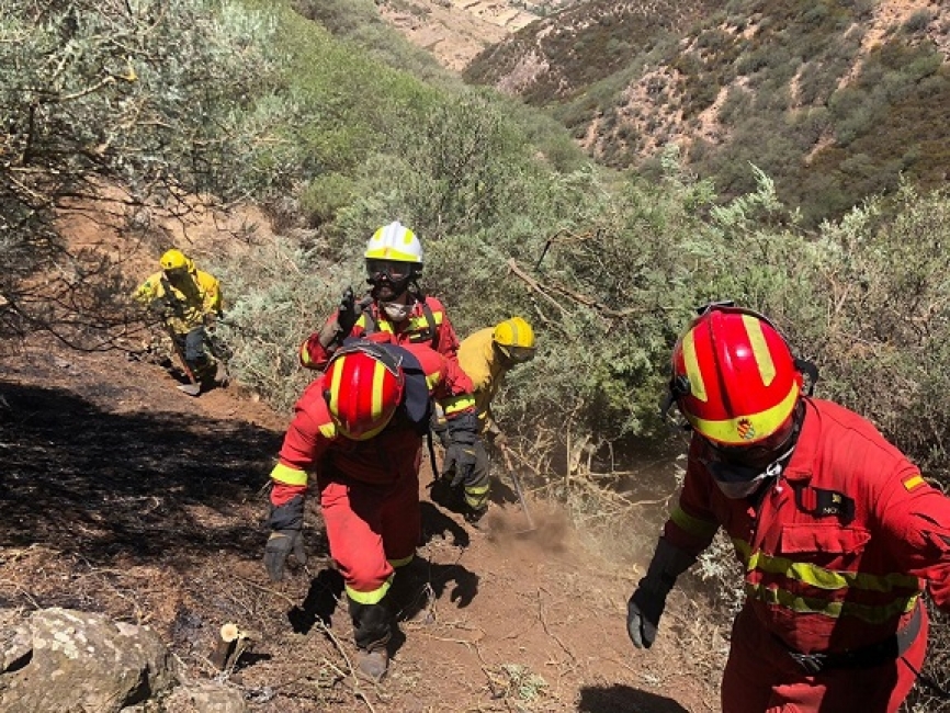 En el suelo el personal de la UME se enfrenta a los virulentos incendios. (foto: UME)