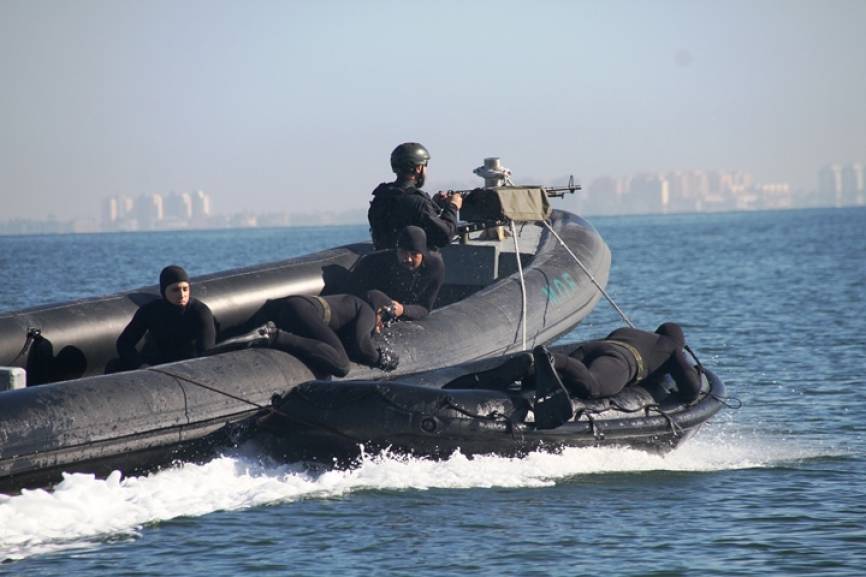 Las unidades del MOE, como sus homólogas de la FGNE o del EZAPAC, surtirán al MCOE con UOE para asumir determinados operativos que surjan