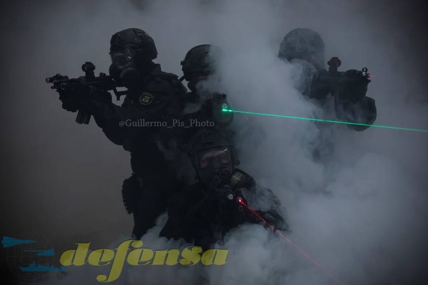 Integrada en la División de Intervención dentro del Área de Seguridad Ciudadana, no fue hasta 2006 que el GIE entrara en servicio.