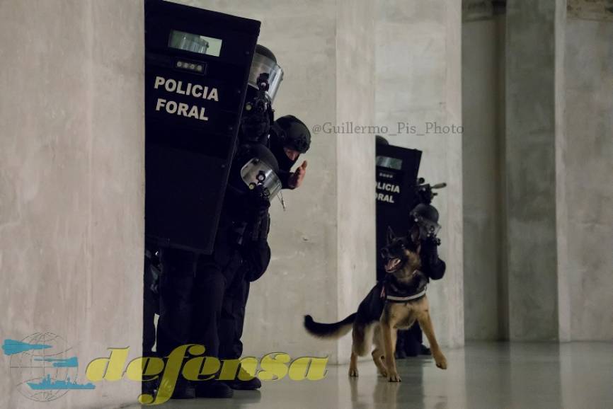 Es más que habitual la cooperación con unidades como la de Guías Caninos. En este caso un agente K9 especializado en la búsqueda de explosivos (incluso adheridos a personas). Esta unidad es pionera en poder guiar sus perros mediante la utilización de drones pudiendo incluso perder la referencia visual con el animal.