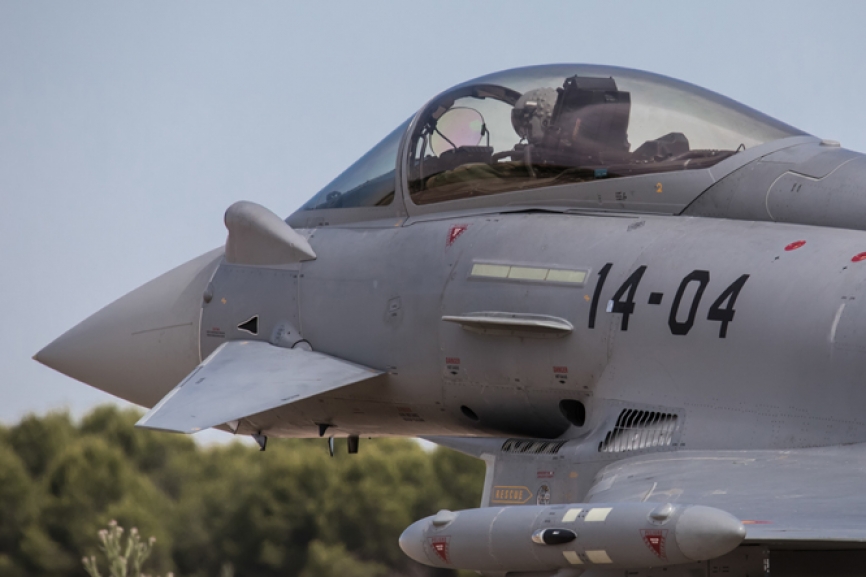 Aunque esta ALA llegó a estar formada por dos escuadrones (el 141 y el 142), en la actualidad es el 142 con sus Eurofighter el que conforma el ALA 14 .