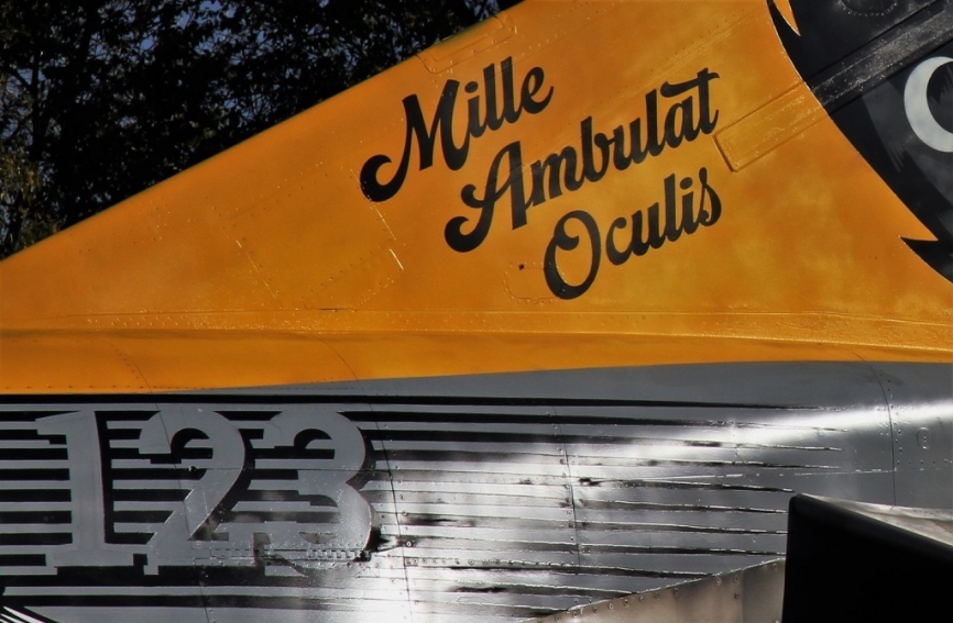 El lema del 123 Escuadrón “Mille Ambulat Oculis” (Anda con mil ojos) también está presente. (Julio Maíz Sanz)