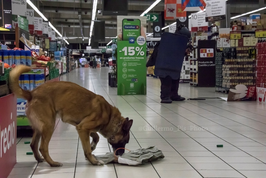 El TEDAX apoyado por la unidad canina, confirma la presencia de un chaleco y una bolsa de deporte con algún tipo de explosivo.