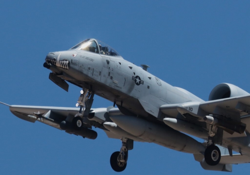 Detalle de la parte delantera de los A-10C del , en la que destaca la decoración de boca y ojos del jabalí facóquero, que en inglCION Tés (warthog) es otro de los apelativos del avión de combate. (Julio Maíz)