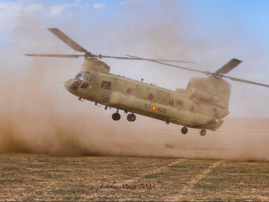 Un ‘Chinook’ F del BHELTRA V levantando polvo durante su maniobra de aterrizaje.