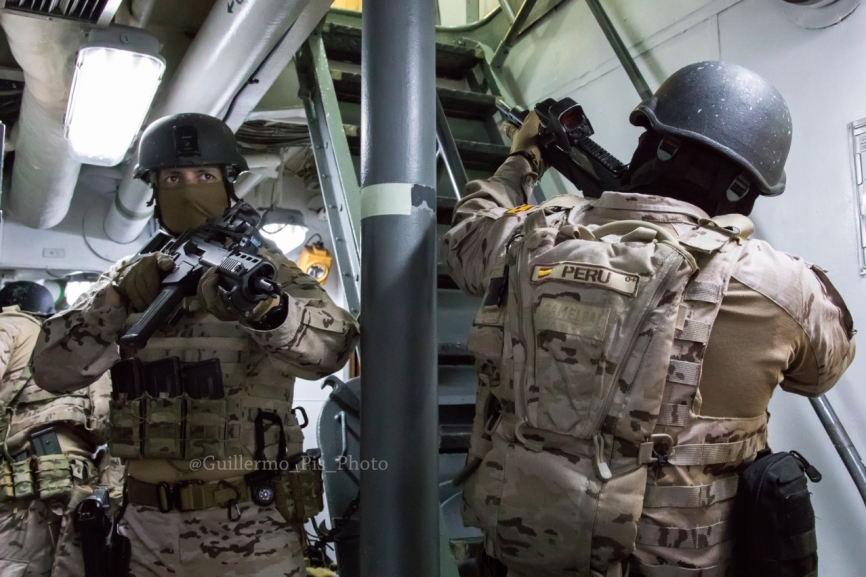 Defensa personal, técnicas de cacheo y conducción de personal , primeros auxilios,close quarters battle (CQB).....son parte del intenso adiestramiento que reciben estos Infantes de Marina para el desempeño de sus misiones.